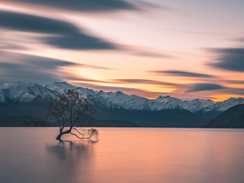 Chasing Kiwi Vibes: 3 Days of Pure Adventure in NZ!