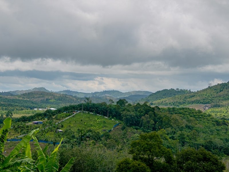 Malaysia in Nov: Food, Rainforests & Urban Vibes