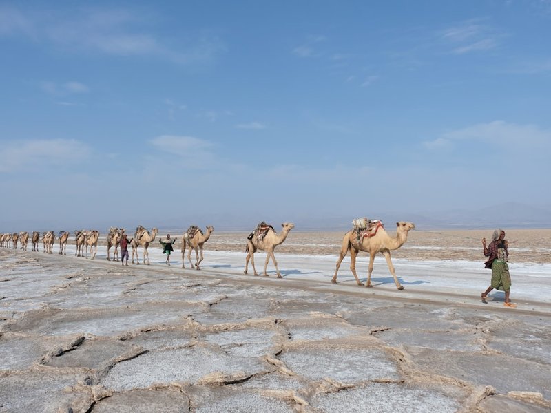 Ethiopia Foodie Adventure: Coffee, Injera & Ancient Vibes