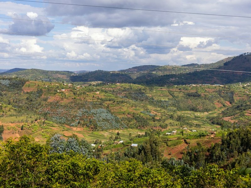 Rwanda in December: Gorillas, Volcanoes, and Maybe You?