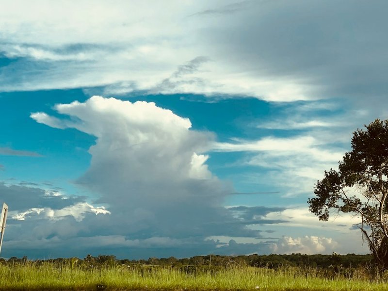 Guyana in January — chasing Kaieteur and jaguars with a stranger or two