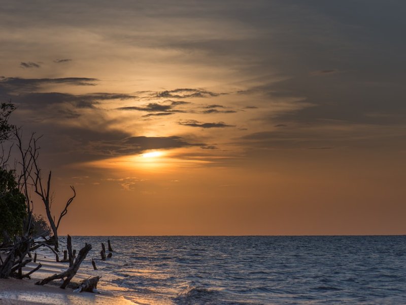 Suriname: Jungle, History, and Creole Flavors