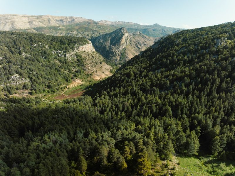 Two weeks in Lebanon: work by day, explore by night