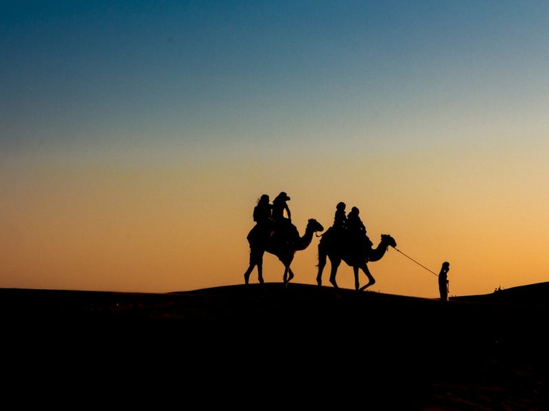 Desert dreams & city lights: UAE adventure awaits!