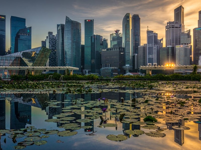 Two Weeks in Singapore: Hawker Centers, Gardens, and Unexpected Adventures