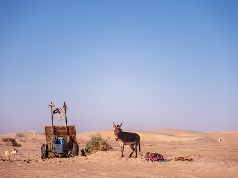 Mauritania Adventure: Dunes & Ancient Cities