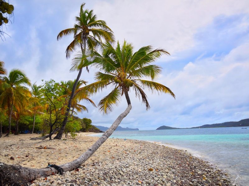 Escaping to SVG for a week of sun and sea
