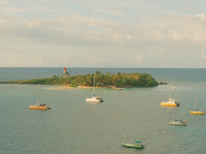 Chasing Creole flavors and island stories in Guadeloupe